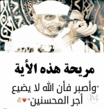 شعراوي6.PNG