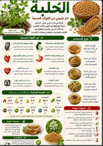 الحلبه.PNG