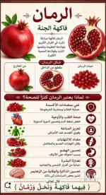 الرمان1.PNG