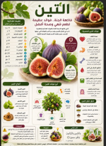 التين.PNG