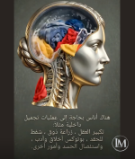 حكم.PNG