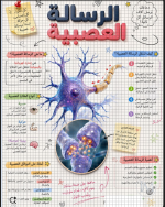 الرسائل العصبية