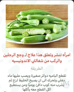 الباميه ووجع الركب.PNG