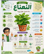 النعناع.PNG