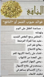 الشمر.PNG