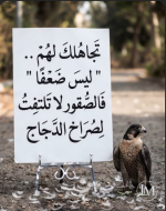 حكم4.PNG