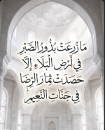 حكم د11.PNG