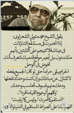 الشعراوي.PNG