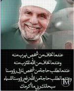 الشعراوي3.PNG