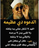 الشعراوي4.PNG