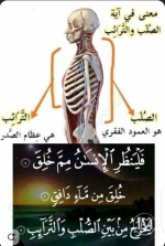 تفسير اية