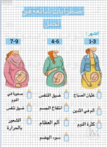الحامل17.PNG