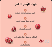 الحامل23.PNG