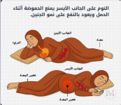 الحامل25.PNG