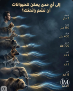 الى اي مدى ممكن للحيوانت ان تشم رائحتك