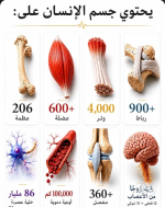 محتويات حسن الانسان.PNG