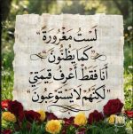 حكم7.PNG