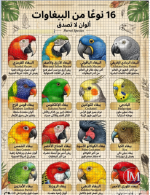 الببغاوات2.PNG