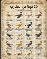العقارب.PNG