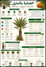العناية بالنخيل.PNG