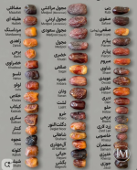 انواع التمور.PNG