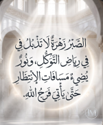 حكم د5.PNG