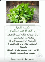 الكزبره.PNG