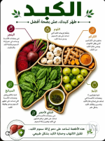 الكبد.PNG