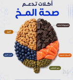 المخ.PNG