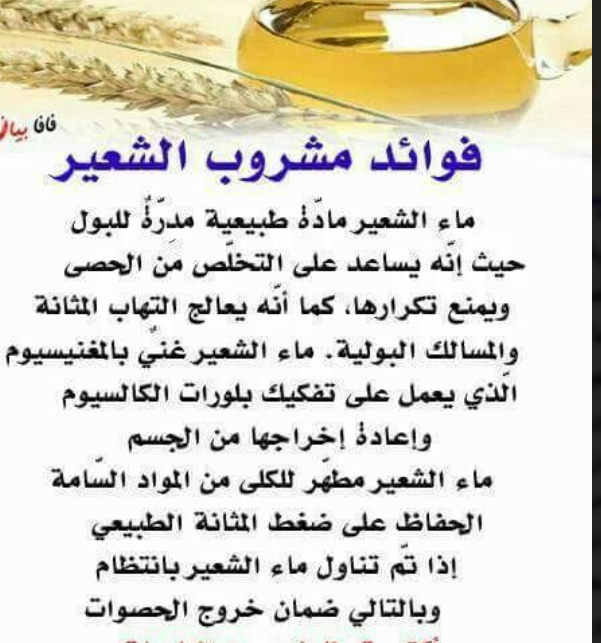 الشعيــــــــــــــــــــــــــر Ao13